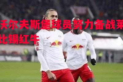 沃尔夫斯堡球员努力备战莱比锡红牛