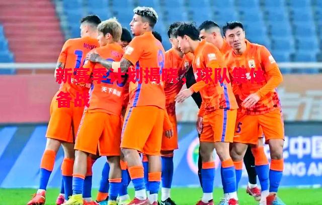 悟空体育官方网站-新赛季计划揭晓，球队集体备战
