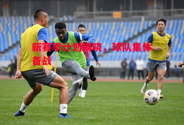 新赛季计划揭晓，球队集体备战