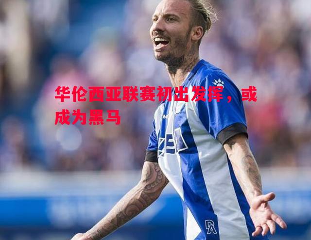 悟空体育官方网站-华伦西亚联赛初出发挥，或成为黑马
