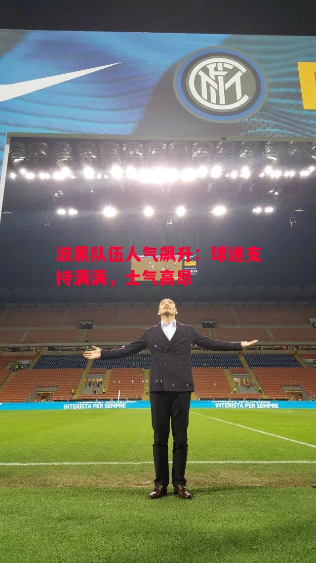 悟空体育-波黑队伍人气飙升：球迷支持满满，士气高昂